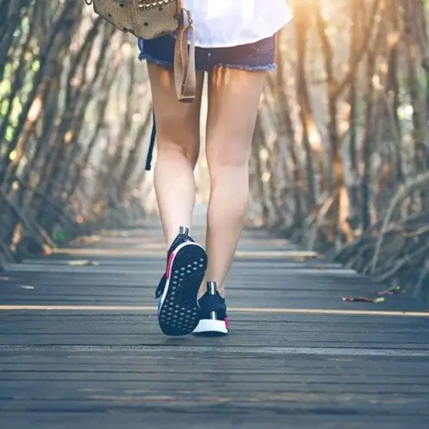Walking Path